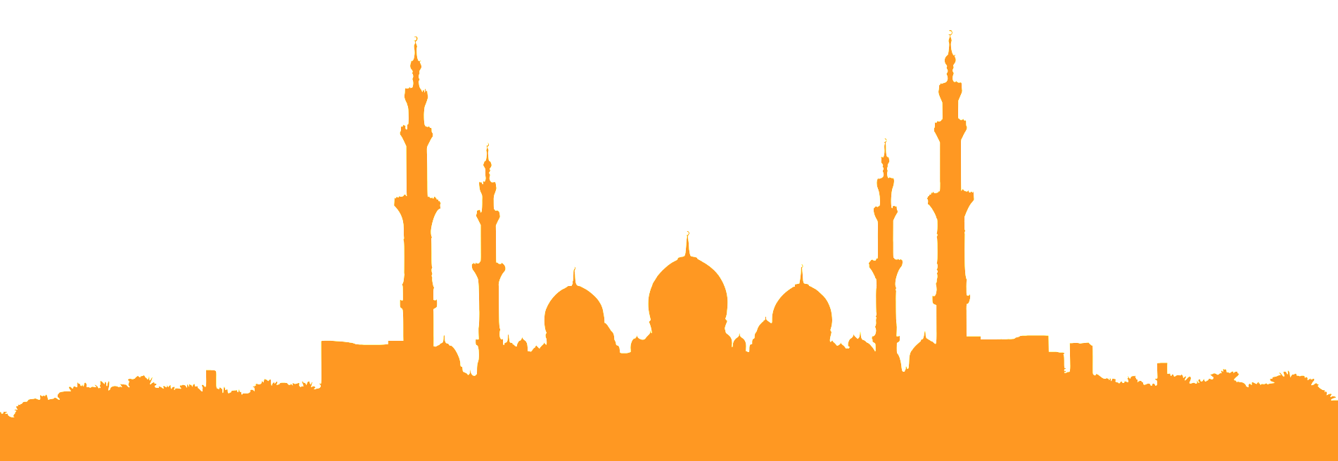 vector-bg
